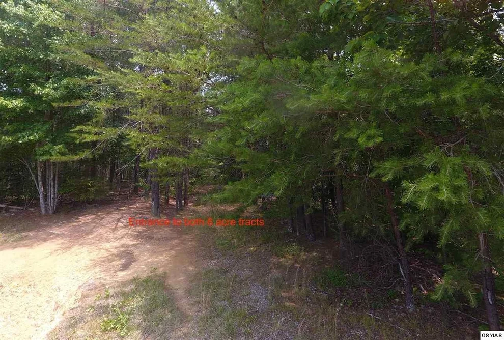 Unit for sale at 0 Yellow Breeches, Cosby, TN 37722