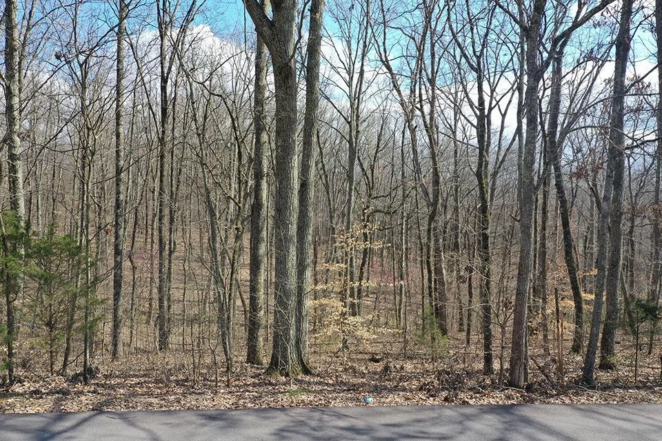 Unit for sale at 0 Parcel 076.16 Day Drive, Strawberry Plains, TN 37871
