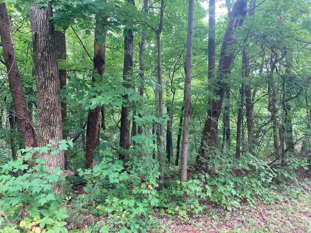 Unit for sale at 238 Ridgecrest Drive, Sevierville, TN 37876