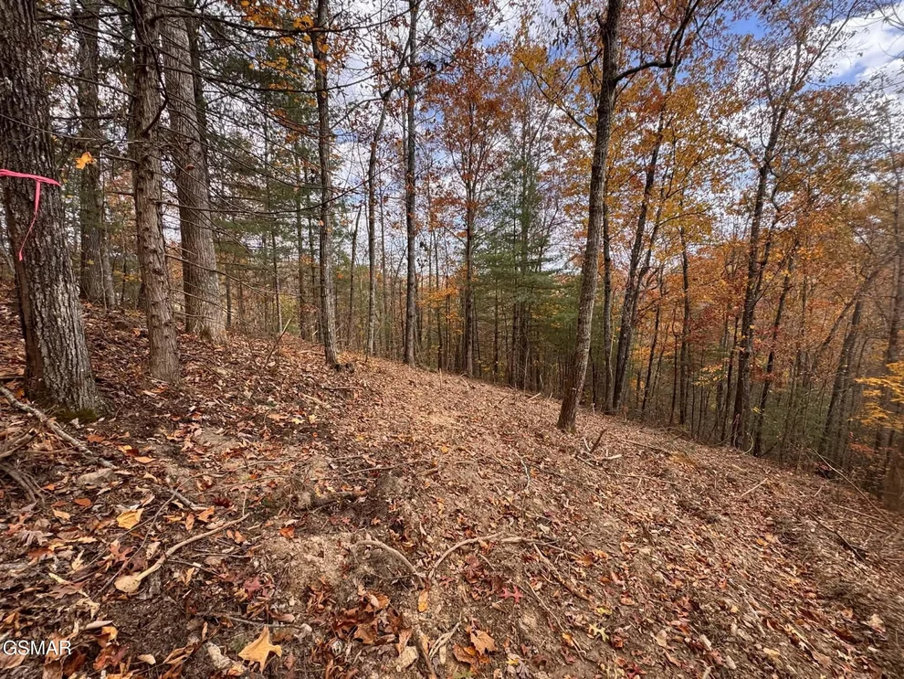 Unit for sale at 42 Cedar Falls Way, Sevierville, TN 37862