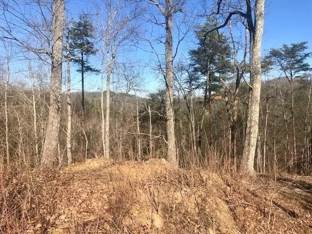 Unit for sale at 11 Lighting Strike Drive, Sevierville, TN 37862