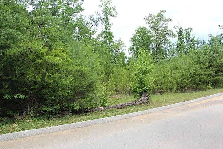 Unit for sale at 0 Lot 67 Smoky Cove Rd, Sevierville, TN 37876