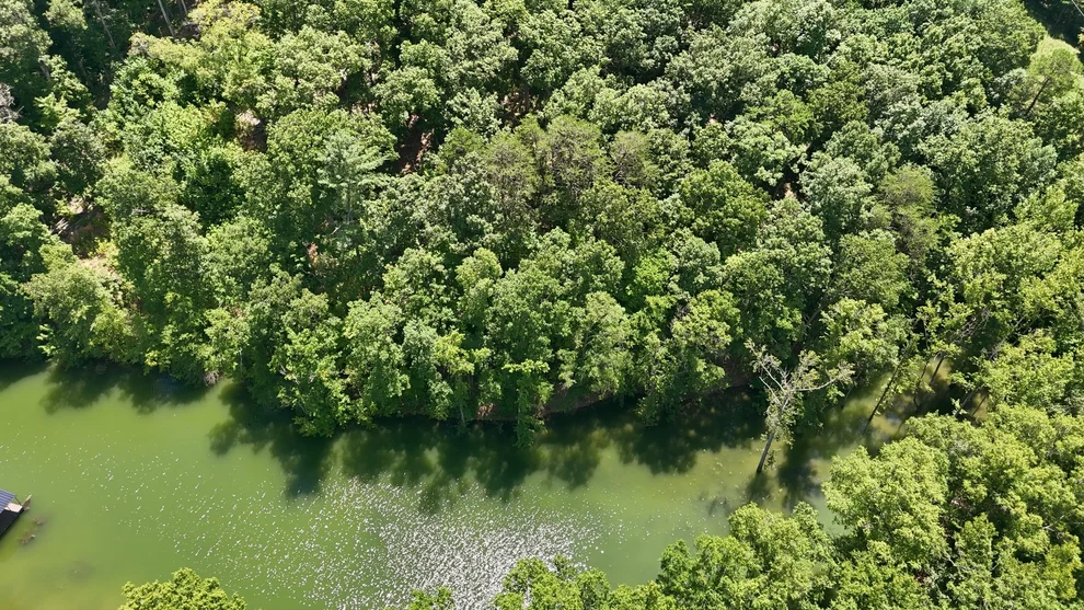Unit for sale at 103 Ridgeline Trl, Dandridge, TN 37725