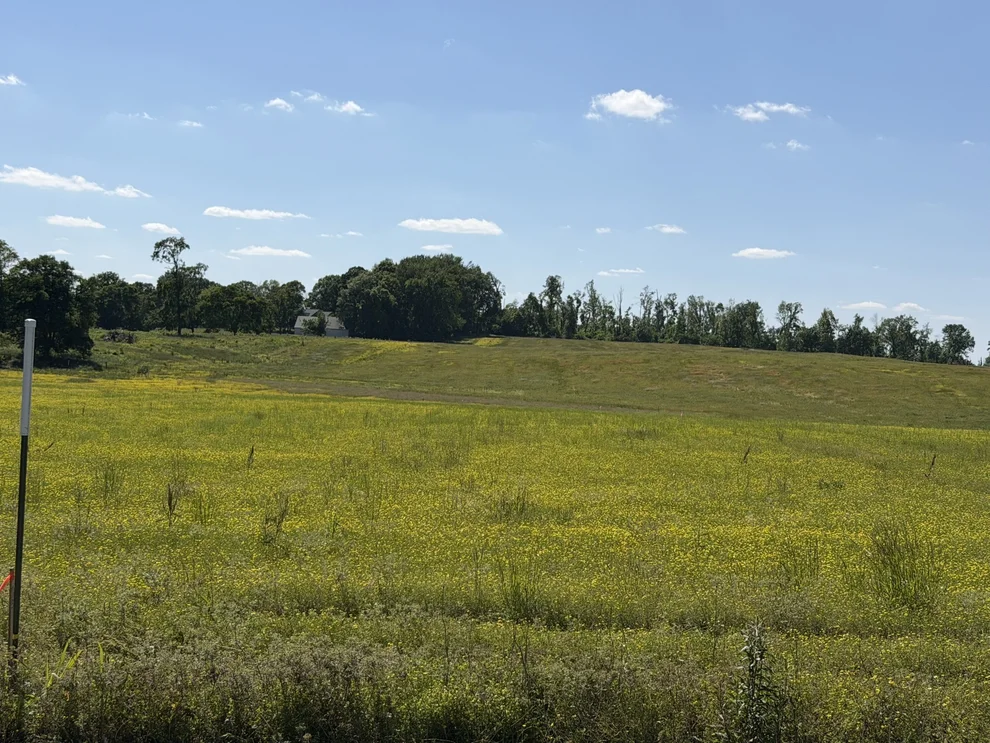 Unit for sale at 0 Pinson Rd, Springfield, TN 37172