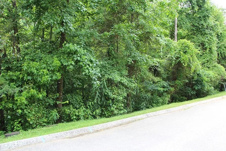 Unit for sale at 0 Lot 84 Smoky Cove Rd, Sevierville, TN 37876