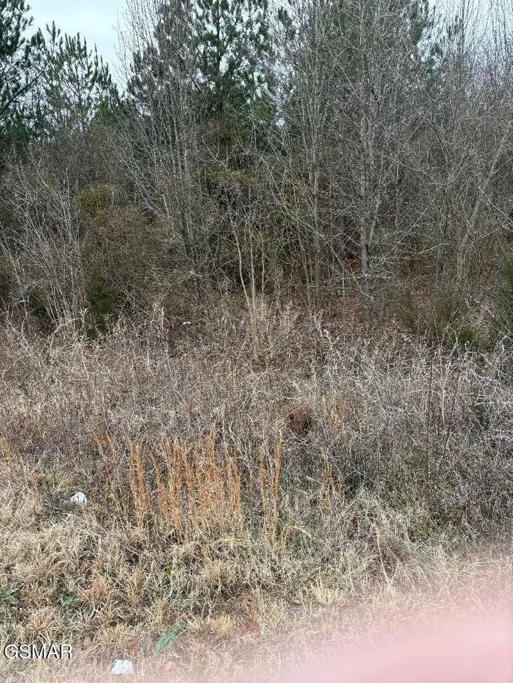 Unit for sale at 0 Winfield Dunn Parkway, Sevierville, TN 37862
