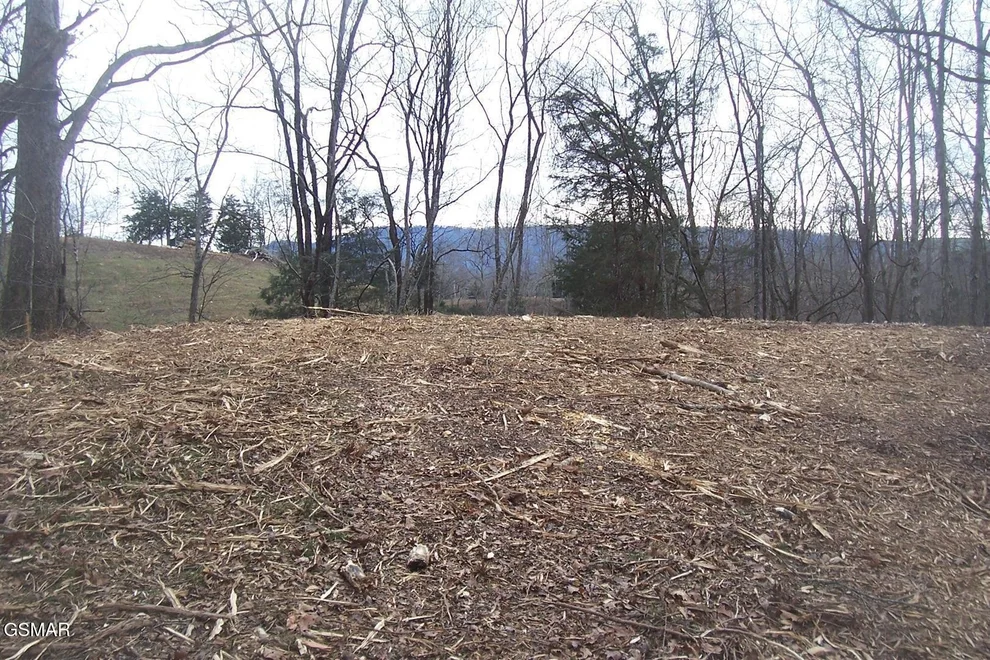 Unit for sale at 58011 Chapman Highway, Seymour, TN 37865