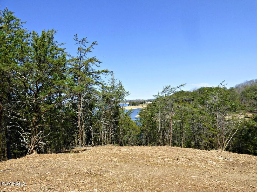 Unit for sale at 5 Snapdragon Rd, Sevierville, TN 37876