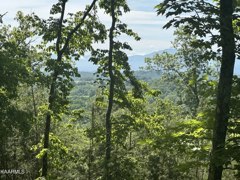 Unit for sale at 0 Bobbie Jean Lane, Seymour, TN 37865