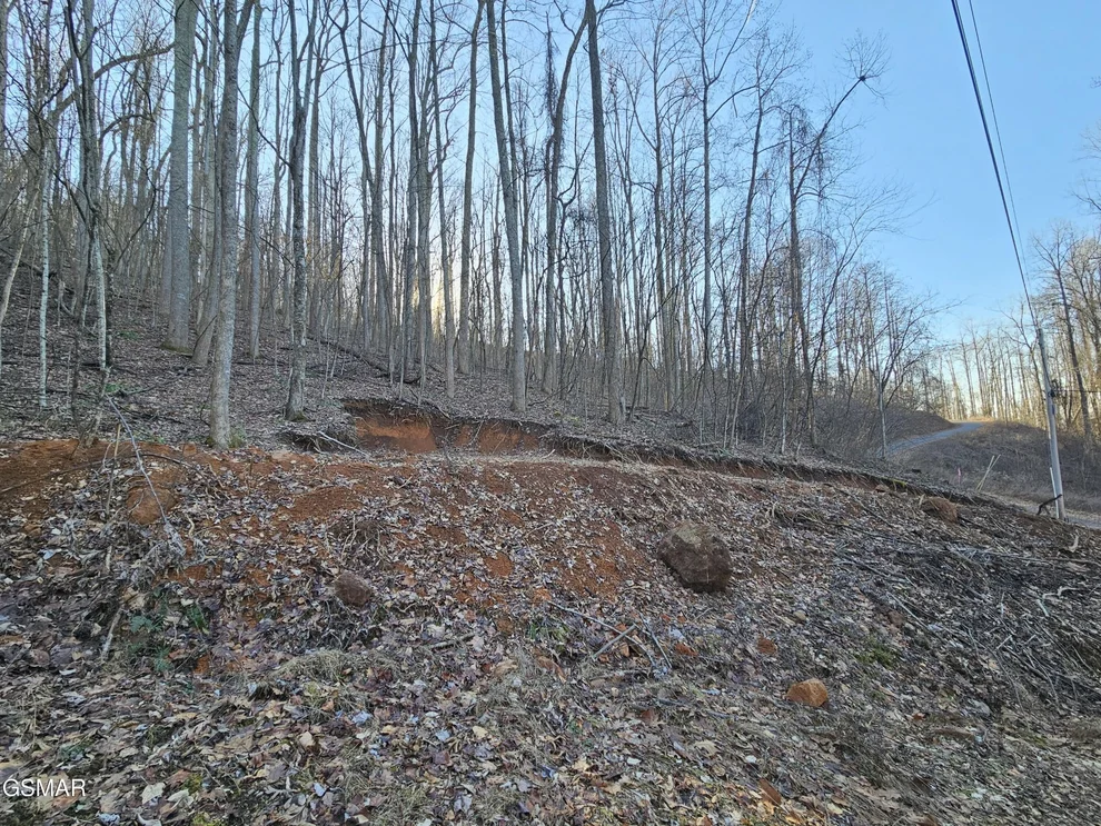 Unit for sale at 30 Grand Country, Cosby, TN 37722