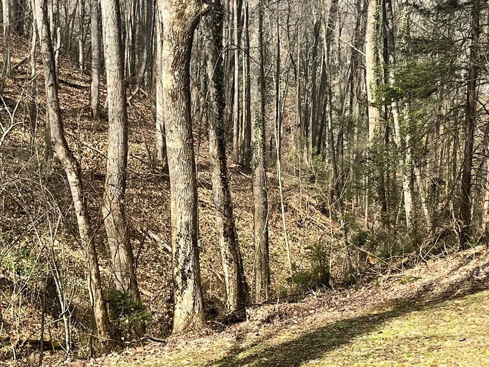 Unit for sale at 15 Cole Lane, Gatlinburg, TN 37738