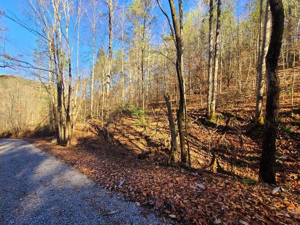 Unit for sale at 4 Walden Flats Way, Sevierville, TN 37862