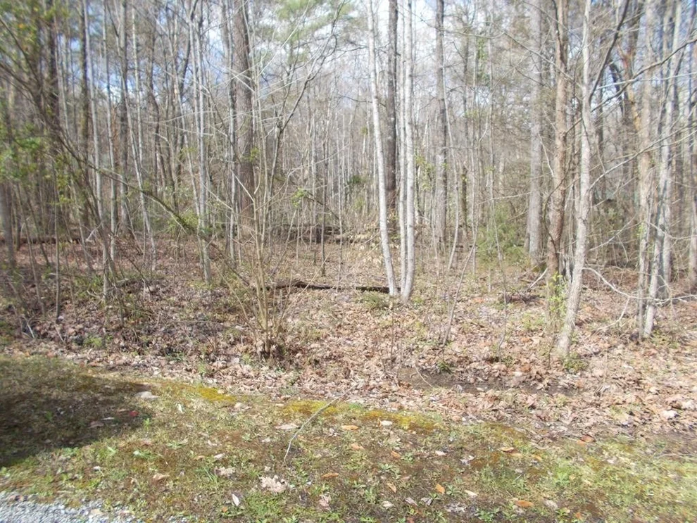 Unit for sale at 0 Laurelwood Road, Cosby, TN 37722