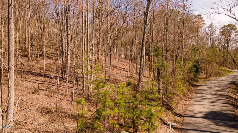 Unit for sale at 2 Lone Ridge Drive, Sevierville, TN 37862