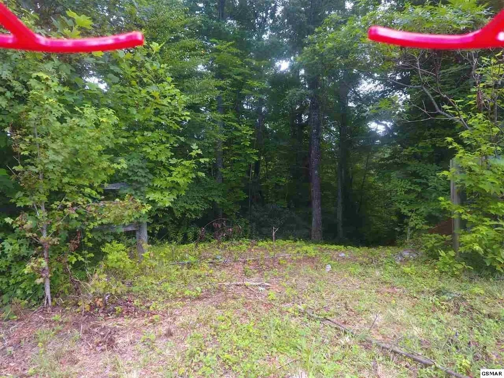 Unit for sale at 745 Caney Creek Road, Cosby, TN 37722