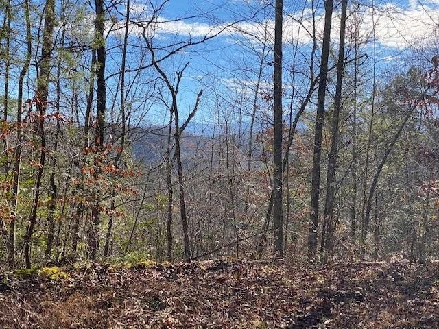 Unit for sale at 15 S B Ogle Lane, Sevierville, TN 37876