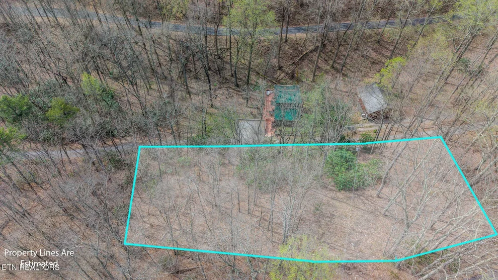 Unit for sale at 0 Bluff Mountain Rd, Sevierville, TN 37862