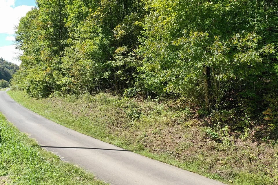 Unit for sale at 0 Parcel 045.08 Baysinger Rd, Newport, TN 37821