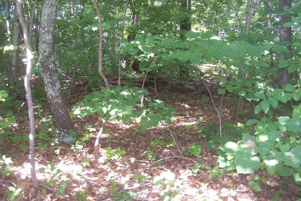 Unit for sale at 78 Muscadine Court, Sevierville, TN 37876