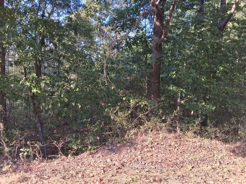 Unit for sale at 6080 Halls Creek Rd, Waverly, TN 37185