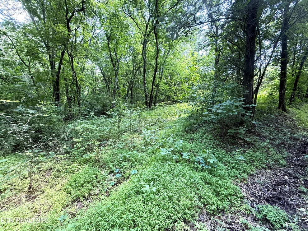 Unit for sale at 3697 Sane Rd, Parrottsville, TN 37843