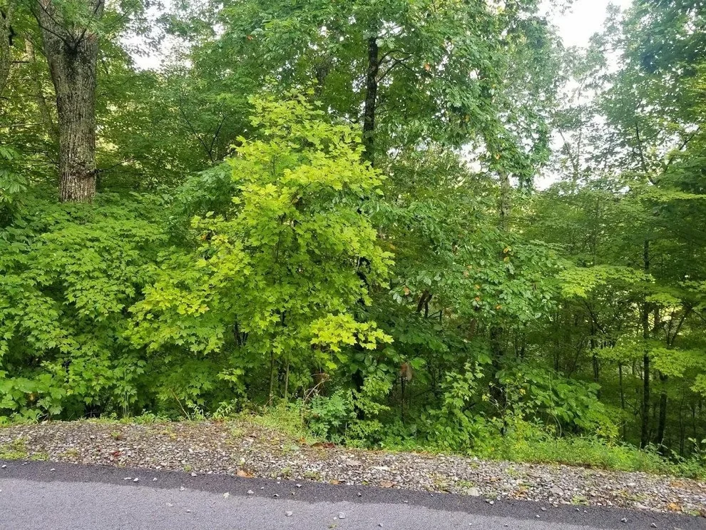 Unit for sale at 0 Cupid Way, Sevierville, TN 37876