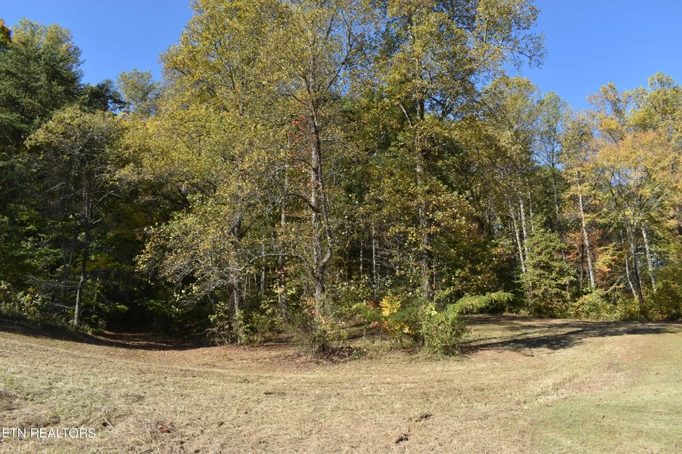 Unit for sale at 6 Briar Ridge Lane, Strawberry Plains, TN 37871
