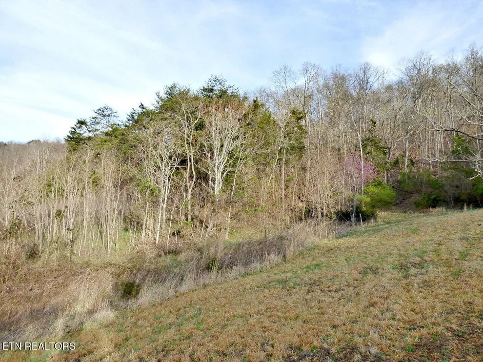 Unit for sale at 1 Mutton Hollow Rd, New Market, TN 37820