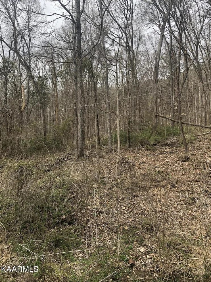 Unit for sale at 0 E Jim Town Rd, Luttrell, TN 37779