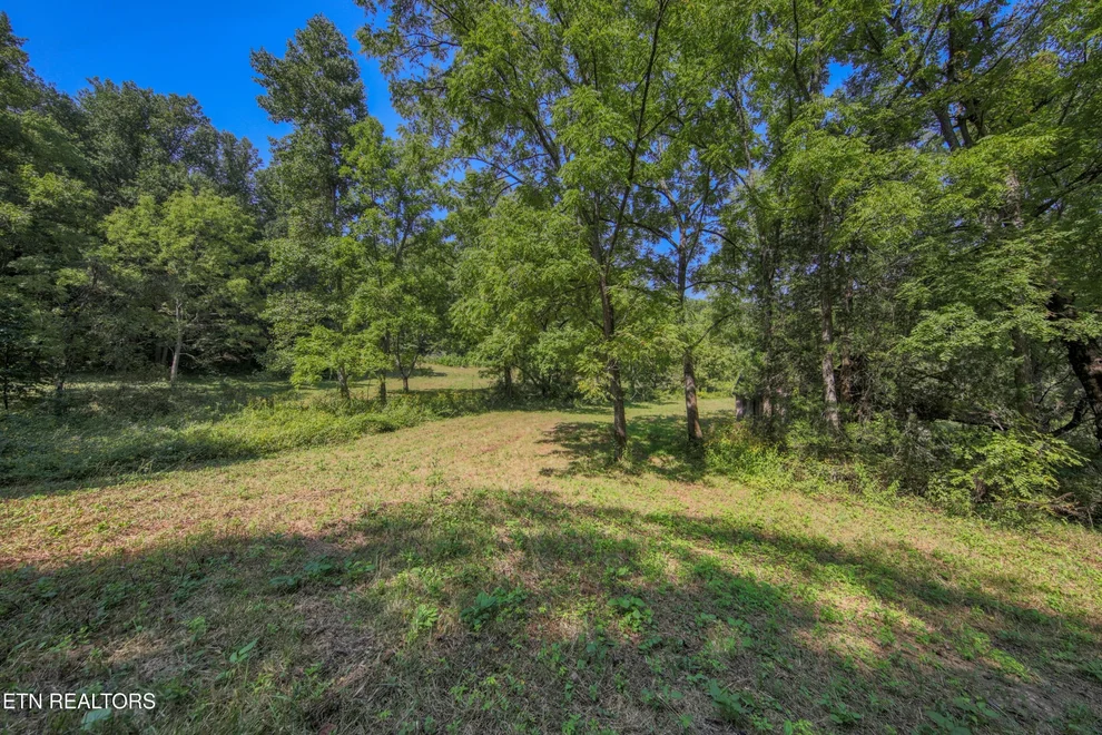 Unit for sale at 0 Belcher Loop, Tellico Plains, TN 37385