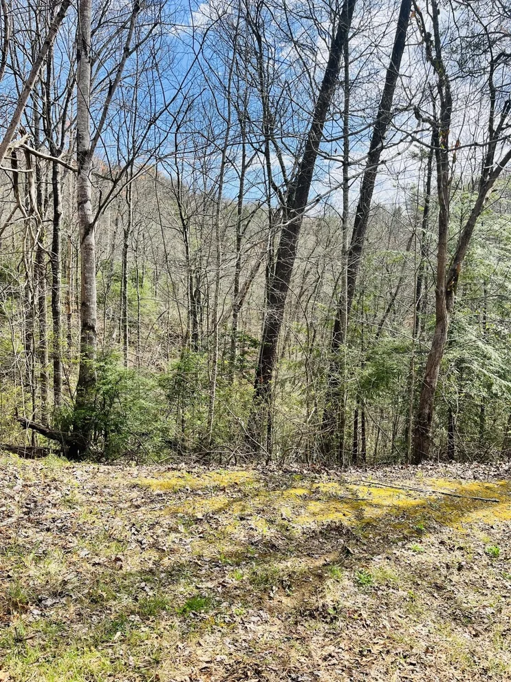Unit for sale at 3 Sassafras Trail, Sevierville, TN 37876