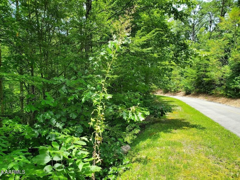 Unit for sale at 0 Rocking Chair Lane, Sevierville, TN 37862
