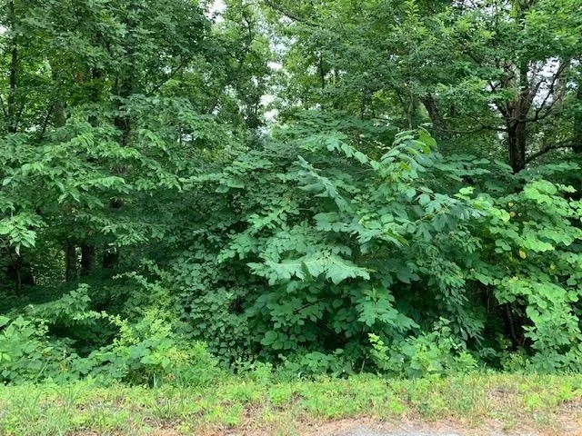 Unit for sale at 28 Booker Rd, Maynardville, TN 37807