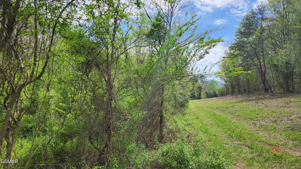Unit for sale at 36 ENGLISH FIELDS DR, Newport, TN 37821