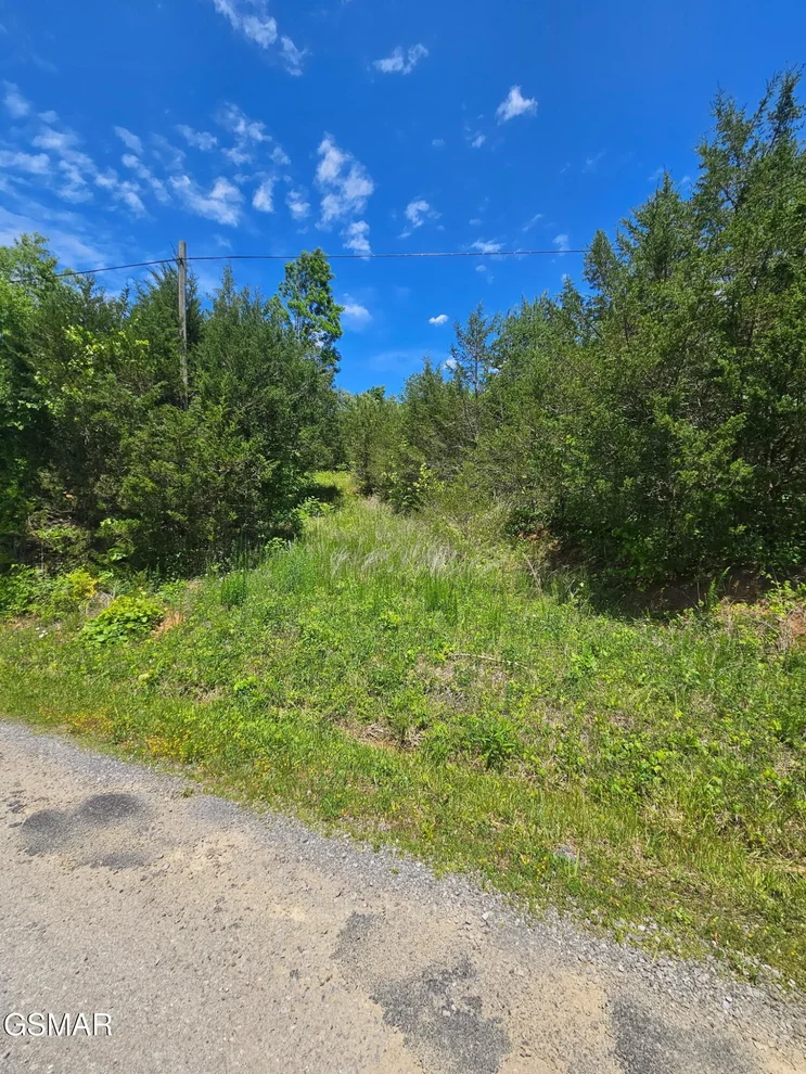 Unit for sale at 335 Oakwood Road, Midway, TN 37809