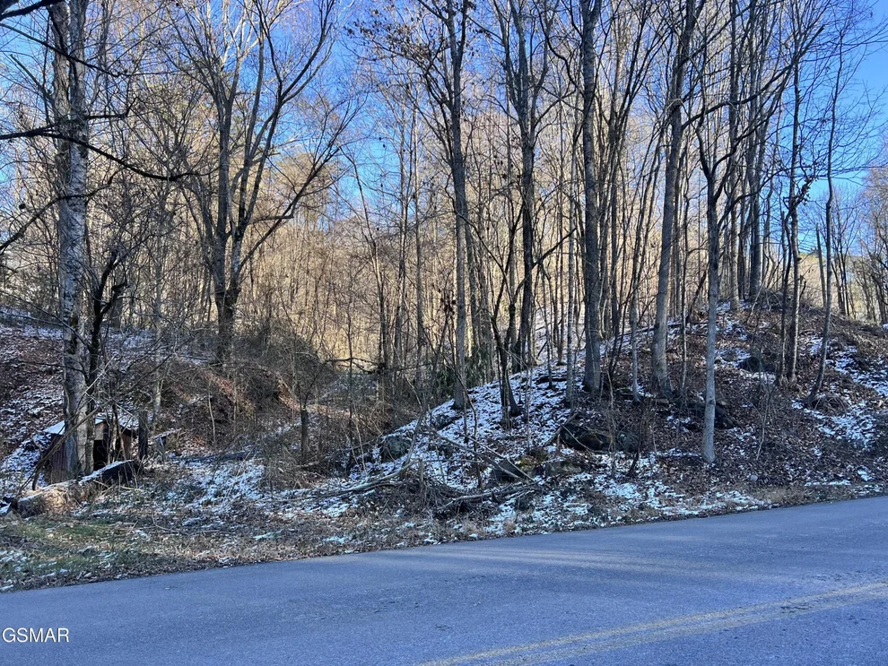 Unit for sale at 0 Maples Branch Road, Sevierville, TN 37876