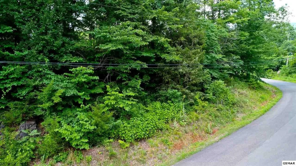 Unit for sale at 3 TOMAHAWK Drive, Cosby, TN 37722