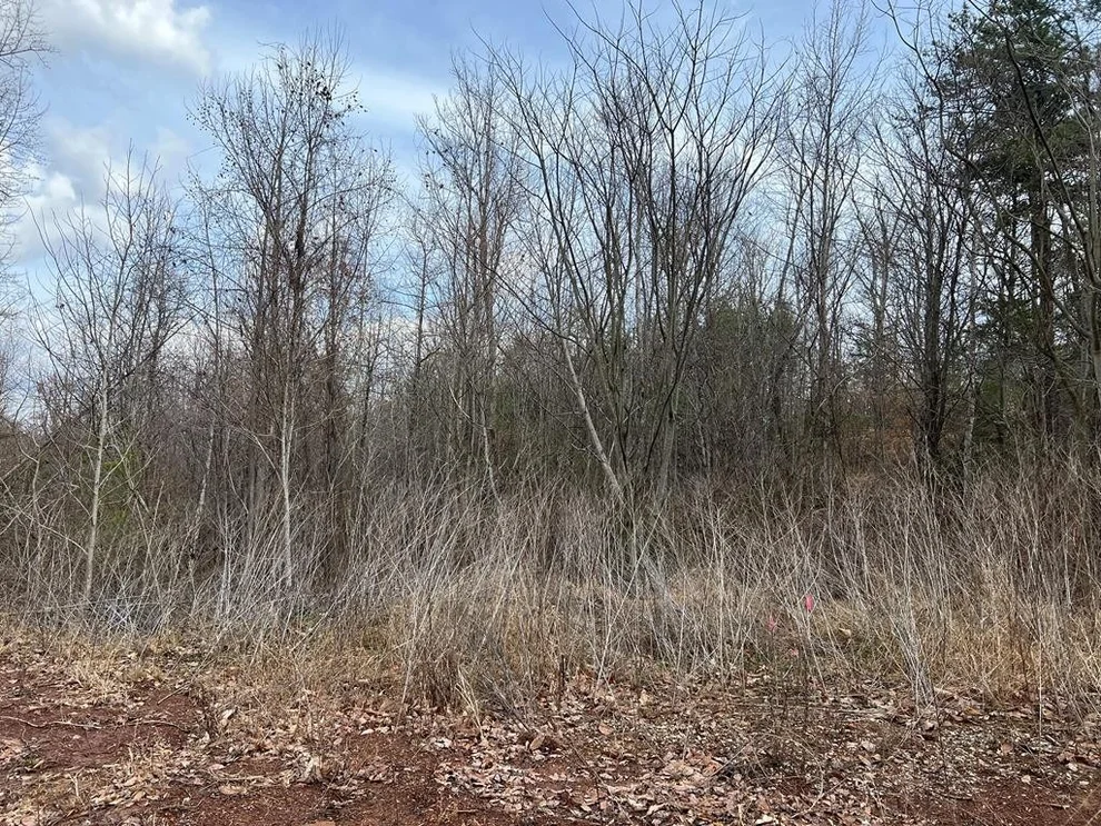Unit for sale at 0 Blue Springs Road, Newport, TN 37821