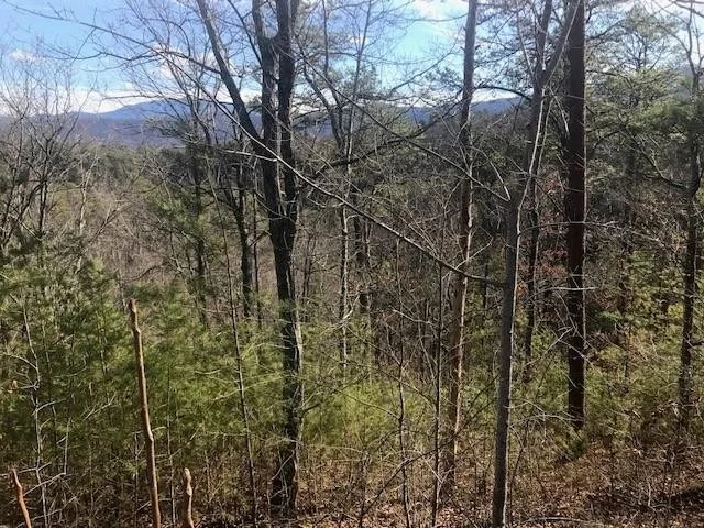 Unit for sale at 17 Lighting Strike Drive, Sevierville, TN 37862