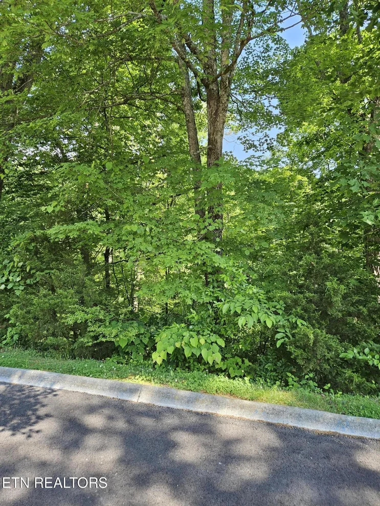Unit for sale at 15 Saddleback Way, Sevierville, TN 37862