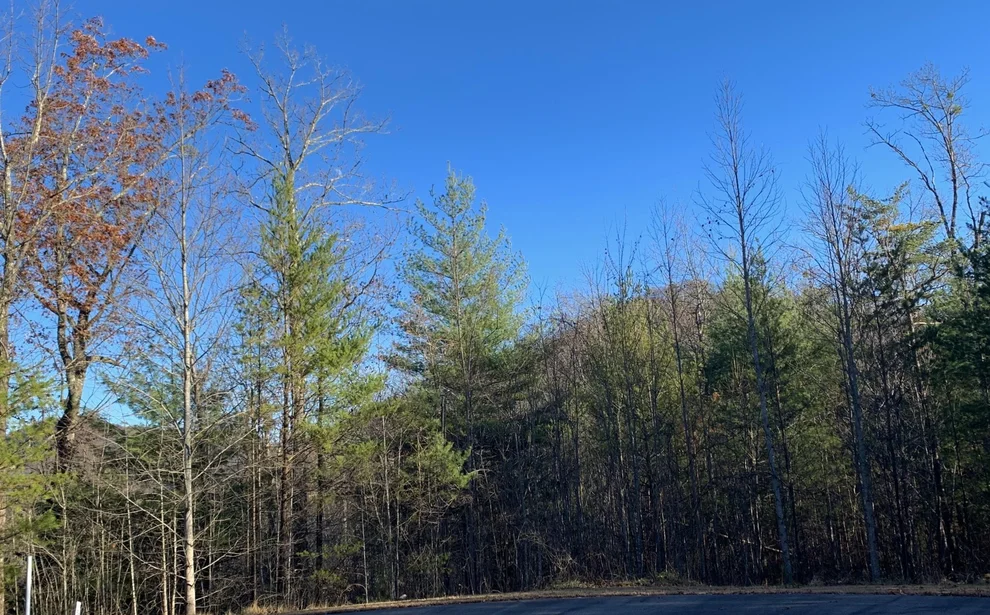 Unit for sale at 529 Percussion Court, Walland, TN 37886