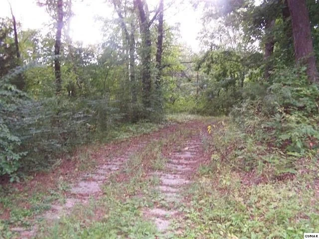 Unit for sale at 3134 Noland Drive, Pigeon Forge, TN 37863