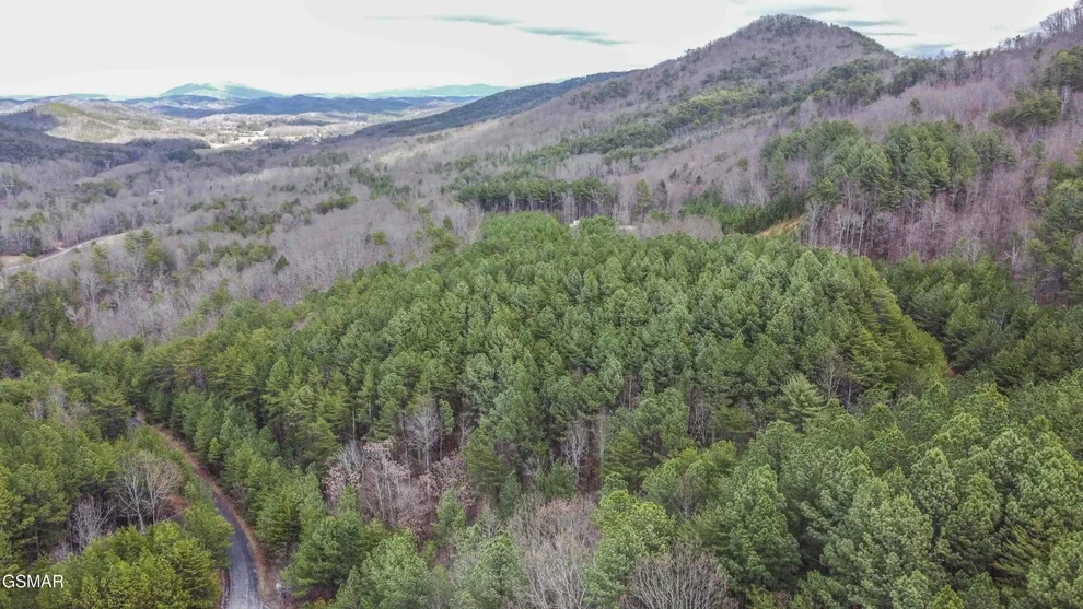 Unit for sale at 545 Harlan Mountain Road, Tellico Plains, TN 37385