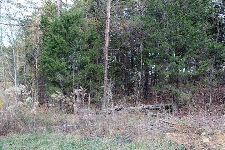 Unit for sale at 0 Lot 5 Leisure Court, Sevierville, TN 37876