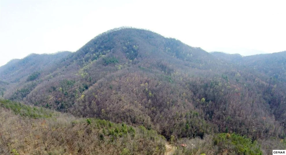Unit for sale at 3 Carrs Creek Road, Townsend, TN 37882