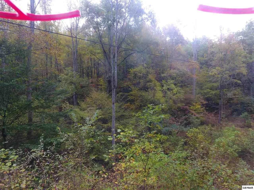 Unit for sale at 0 Ball Hollow, Cosby, TN 37722