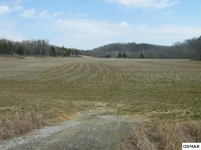 Photo of 14460 Warrensburg Road, Midway, TN 37809