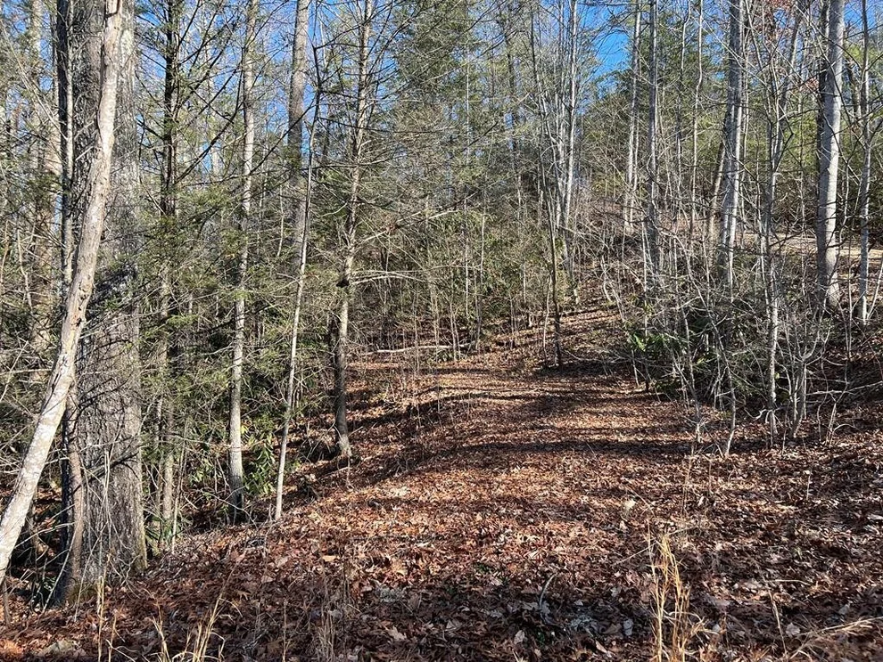 Unit for sale at 0 Hickory Hollow Road, Cosby, TN 37722
