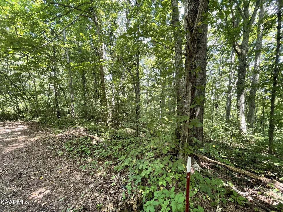Unit for sale at 15171920 Michael Way, Newport, TN 37821