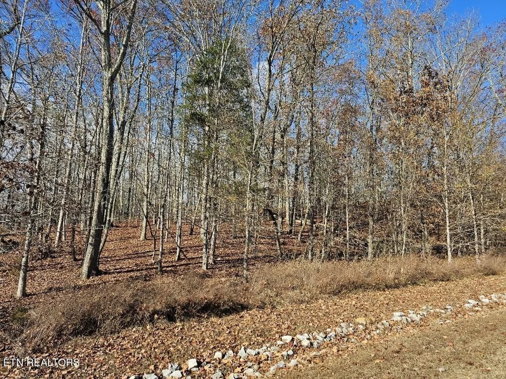 Unit for sale at 137 E. Shore Drive, Rockwood, TN 37854